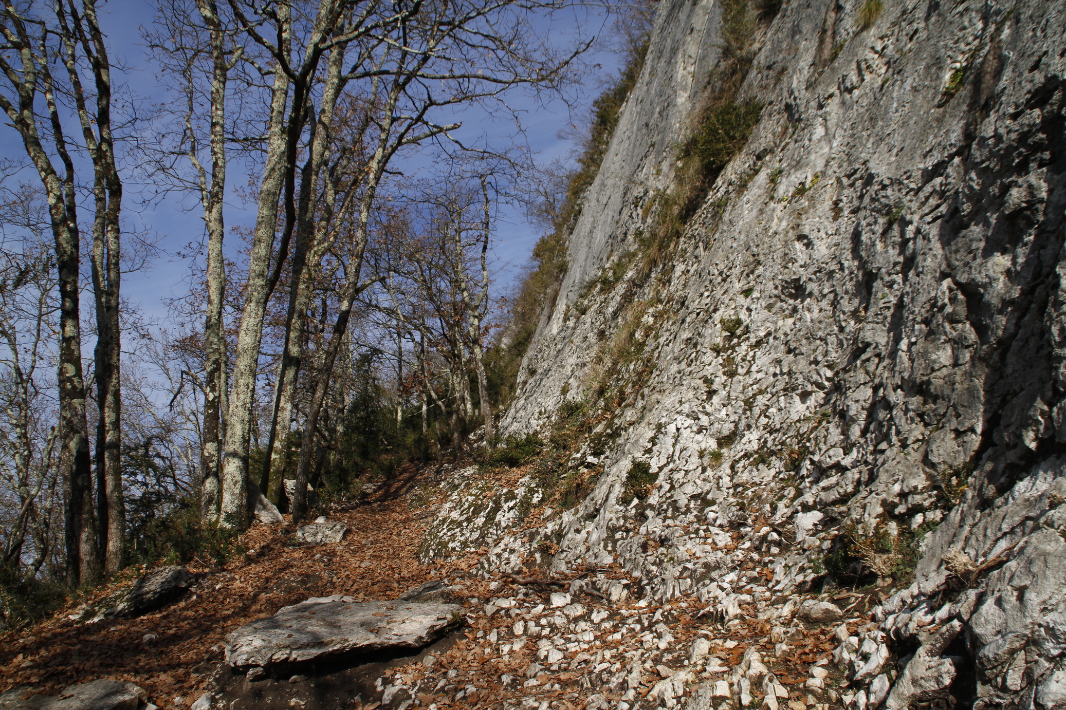 Baie de Grésine : Escalade