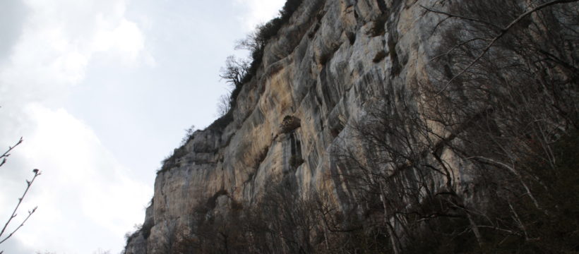 Belvédère du Ranc depuis la Bourne