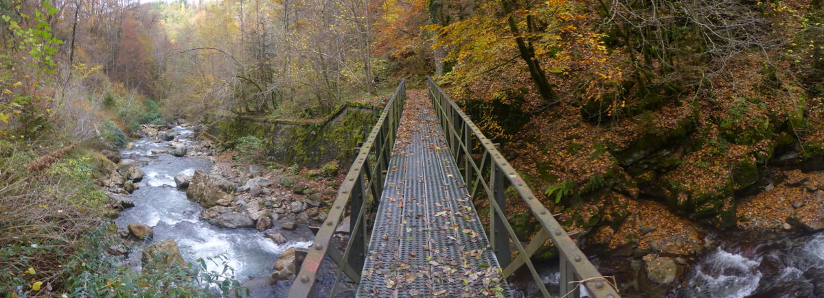 Passerelle sur le Bréda